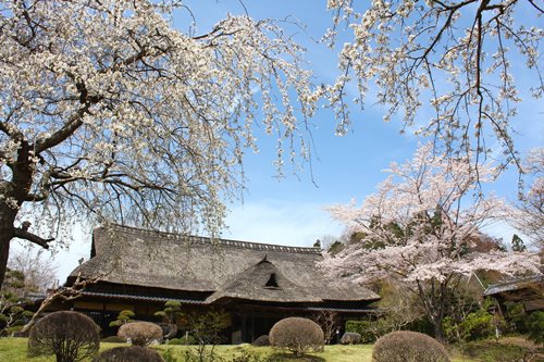 春風萬里荘 笠間日動美術館 : 学芸員便り