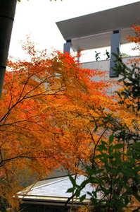 autumn2006_001.jpg