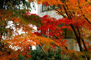 autumn2006_007.jpg